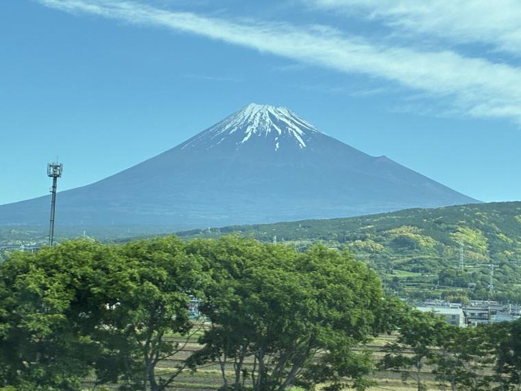 ５⽉の活動